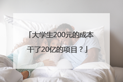 大学生200元的成本干了20亿的项目？