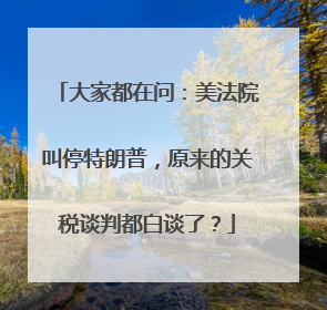大家都在问：美法院叫停特朗普，原来的关税谈判都白谈了？