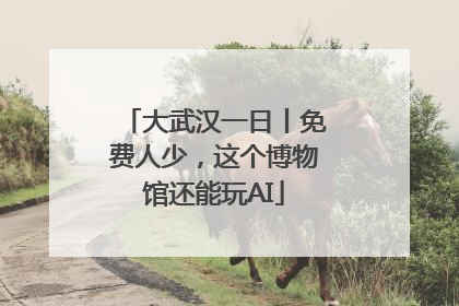 大武汉一日丨免费人少，这个博物馆还能玩AI