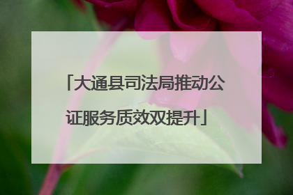 大通县司法局推动公证服务质效双提升