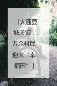 大通县城关镇：万余村民迎来“幸福田”