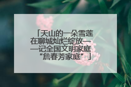 天山的一朵雪莲在聊城灿烂绽放——记全国文明家庭“詹春芳家庭”