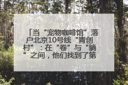 当“宠物咖啡馆”落户北京10号线“青创村”：在“卷”与“躺”之间，他们找到了第三种生活公式