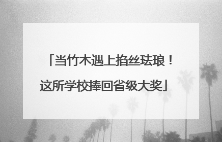 当竹木遇上掐丝珐琅！这所学校捧回省级大奖