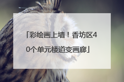 彩绘画上墙！香坊区40个单元楼道变画廊