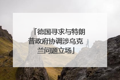 德国寻求与特朗普政府协调涉乌克兰问题立场