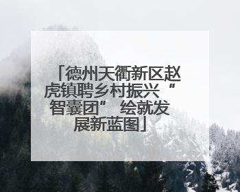 德州天衢新区赵虎镇聘乡村振兴“智囊团” 绘就发展新蓝图