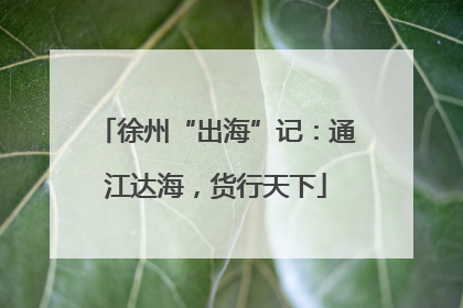 徐州“出海”记：通江达海，货行天下