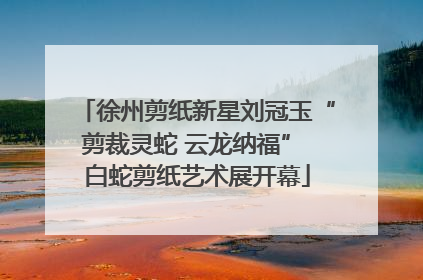 徐州剪纸新星刘冠玉“剪裁灵蛇 云龙纳福” 白蛇剪纸艺术展开幕