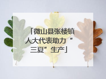 微山县张楼镇人大代表助力“三夏”生产