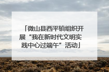 微山县西平镇组织开展“我在新时代文明实践中心过端午”活动