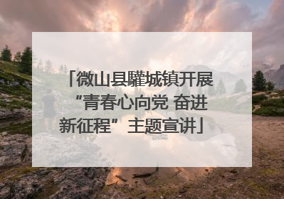 微山县驩城镇开展“青春心向党 奋进新征程”主题宣讲