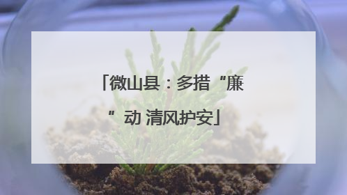 微山县：多措“廉”动 清风护安