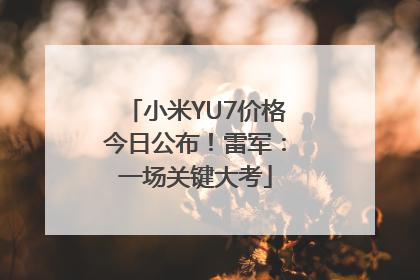 小米YU7价格今日公布！雷军：一场关键大考