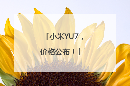 小米YU7，价格公布！