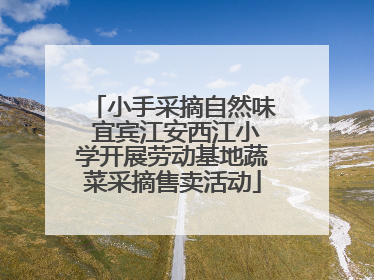 小手采摘自然味 宜宾江安西江小学开展劳动基地蔬菜采摘售卖活动