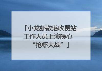 小龙虾散落收费站 工作人员上演暖心“抢虾大战”