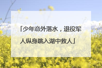 少年意外落水，退役军人纵身跳入湖中救人