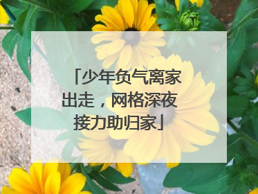 少年负气离家出走，网格深夜接力助归家