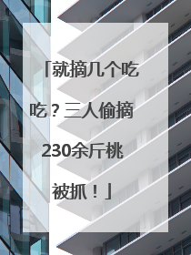就摘几个吃吃？三人偷摘230余斤桃被抓！