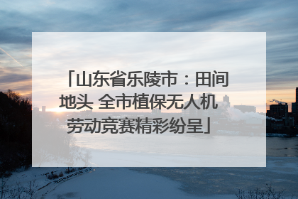 山东省乐陵市：田间地头 全市植保无人机劳动竞赛精彩纷呈