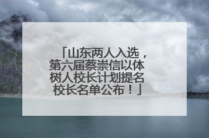 山东两人入选，第六届蔡崇信以体树人校长计划提名校长名单公布！