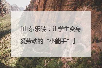 山东乐陵：让学生变身爱劳动的“小能手”
