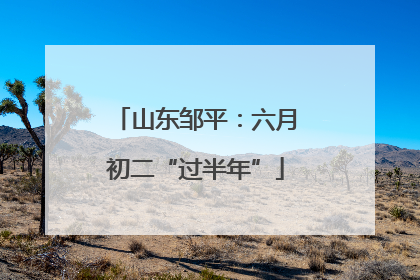 山东邹平：六月初二“过半年”