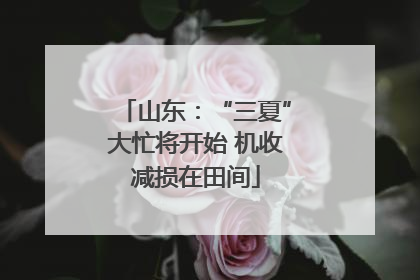 山东：“三夏”大忙将开始 机收减损在田间