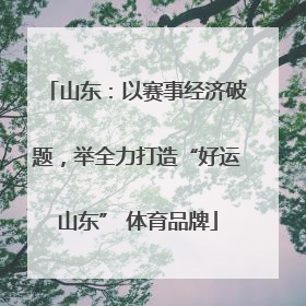 山东：以赛事经济破题，举全力打造“好运山东” 体育品牌