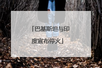 巴基斯坦与印度宣布停火