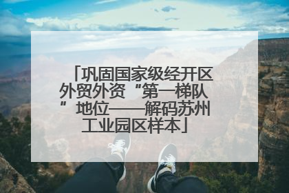 巩固国家级经开区外贸外资“第一梯队”地位——解码苏州工业园区样本