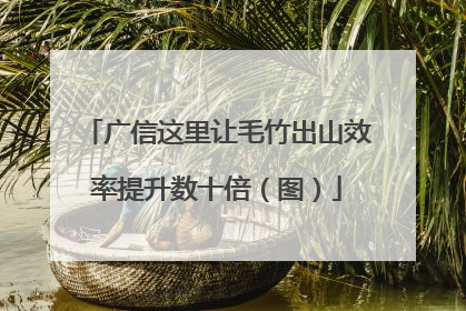 广信这里让毛竹出山效率提升数十倍（图）