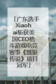 广东选手Xiaohai斩获美国CEO格斗游戏电竞赛事《饿狼传说》项目冠军