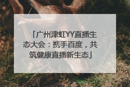 广州津虹YY直播生态大会：携手百度，共筑健康直播新生态