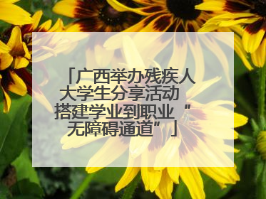 广西举办残疾人大学生分享活动 搭建学业到职业“无障碍通道”