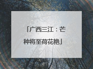 广西三江：芒种将至荷花艳
