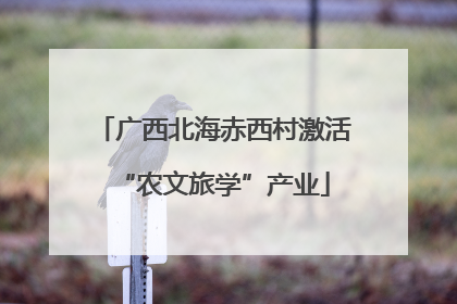 广西北海赤西村激活“农文旅学”产业