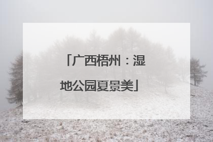 广西梧州：湿地公园夏景美