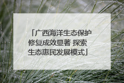 广西海洋生态保护修复成效显著 探索生态惠民发展模式
