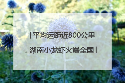 平均运距近800公里，湖南小龙虾火爆全国