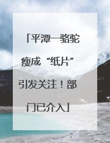 平潭一骆驼瘦成“纸片”引发关注！部门已介入