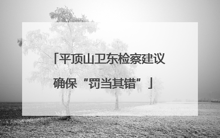 平顶山卫东检察建议确保“罚当其错”