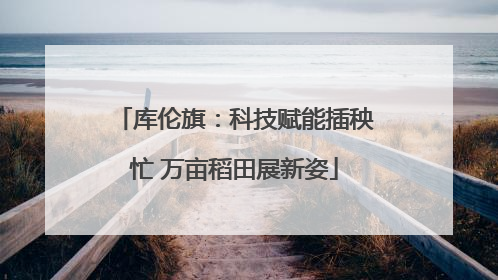 库伦旗：科技赋能插秧忙 万亩稻田展新姿