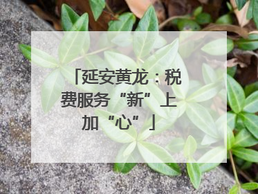 延安黄龙：税费服务“新”上加“心”