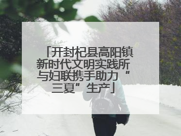 开封杞县高阳镇新时代文明实践所与妇联携手助力“三夏”生产