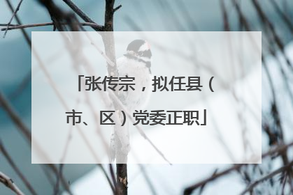 张传宗，拟任县（市、区）党委正职
