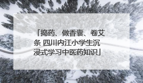 捣药、做香囊、卷艾条 四川内江小学生沉浸式学习中医药知识
