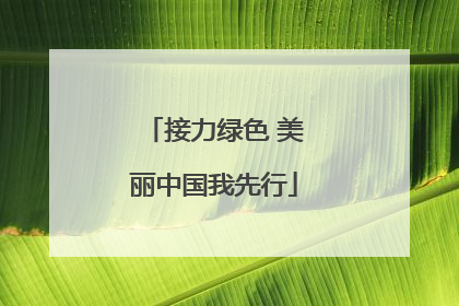 接力绿色 美丽中国我先行