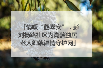 情暖“鹤耋安”，彭刘杨路社区为高龄独居老人织就温情守护网